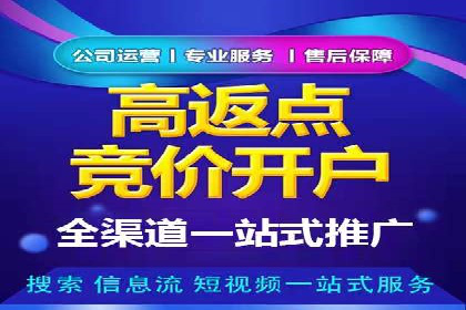 SEM服务助力电商行业案例解读