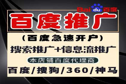 百度SEO推广公司案例精选：助力企业快速崛起